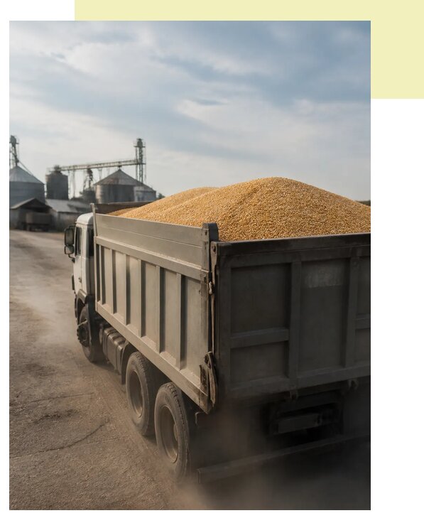 Перевозка сельхозпродукции навалом в Тулун по цене от 3237 р. | Агросервис-Тлн